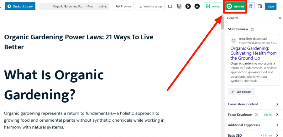 All-In-One-SEO SEO score