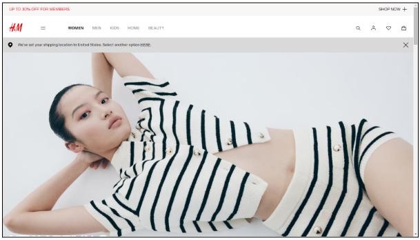 H&M wordpress website home page 