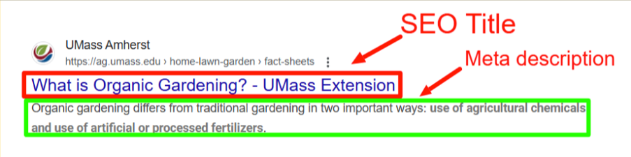 SEO Title and Meta Description